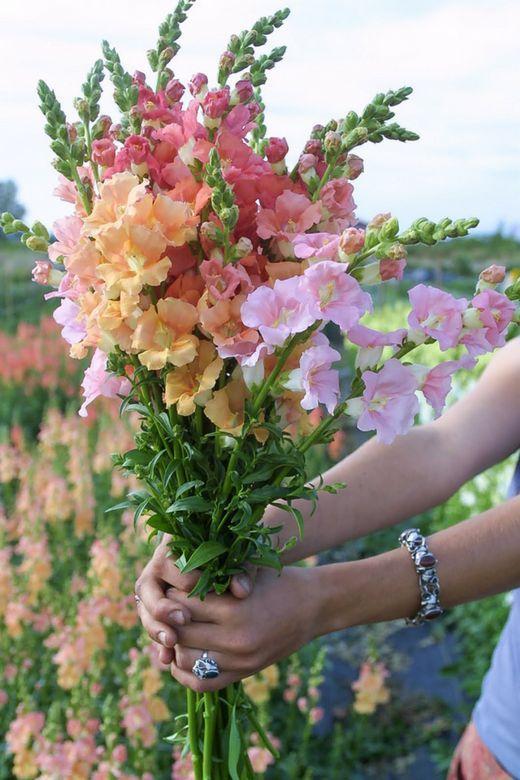 Corporate floral consultation example